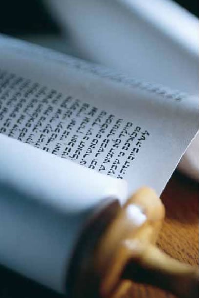 Your ultimate dolls house bible. More details Your ultimate dolls house bible. More details